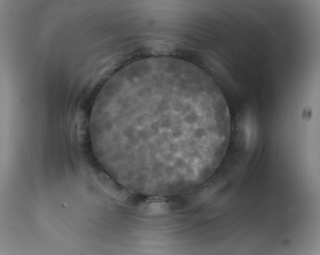 X0000113220228200909241455