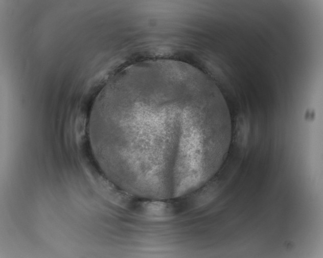 X0000113220230200909241455