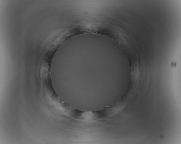 X0000113220231200909241455