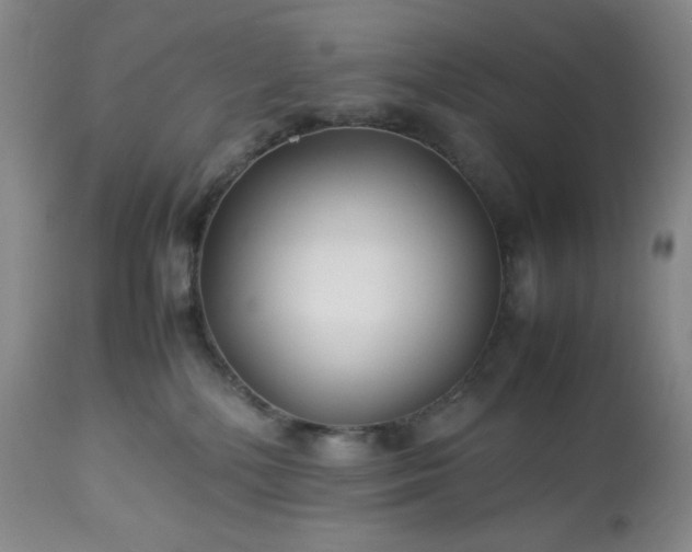 X0000113220232200909241455