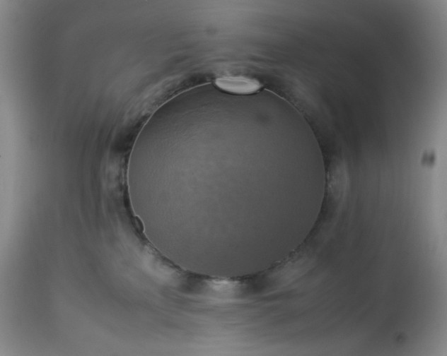 X0000113220233200909241455