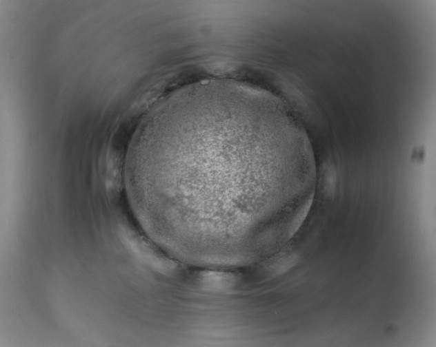 X0000113220234200909241455