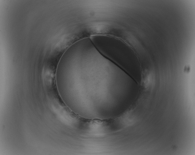 X0000113220235200909241455