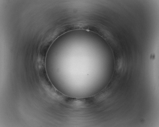 X0000113220236200909241455