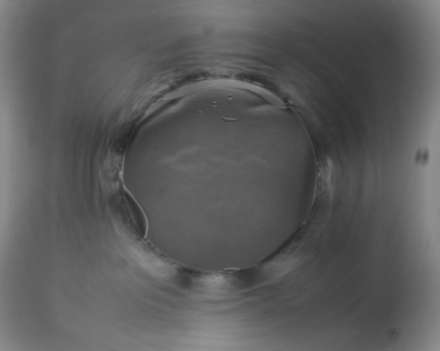 X0000113220237200909241455