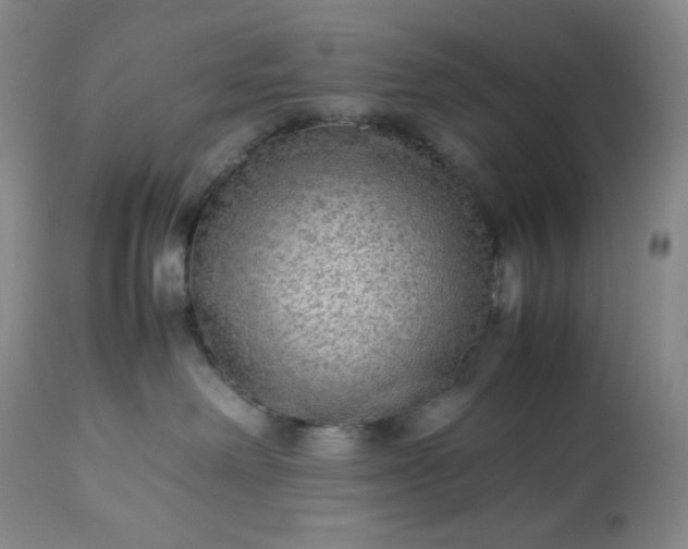 X0000113220238200909241455