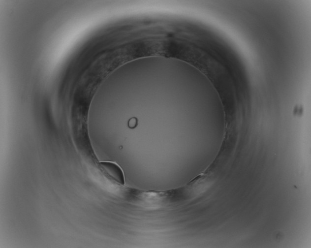 X0000113220239200909241455