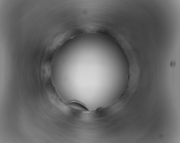 X0000113220240200909241455