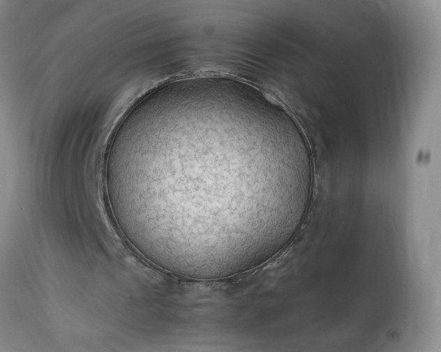 X0000113220241200909241454