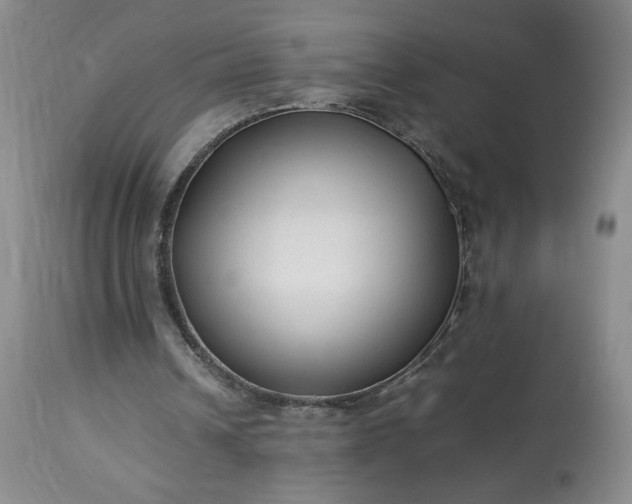 X0000113220242200909241454