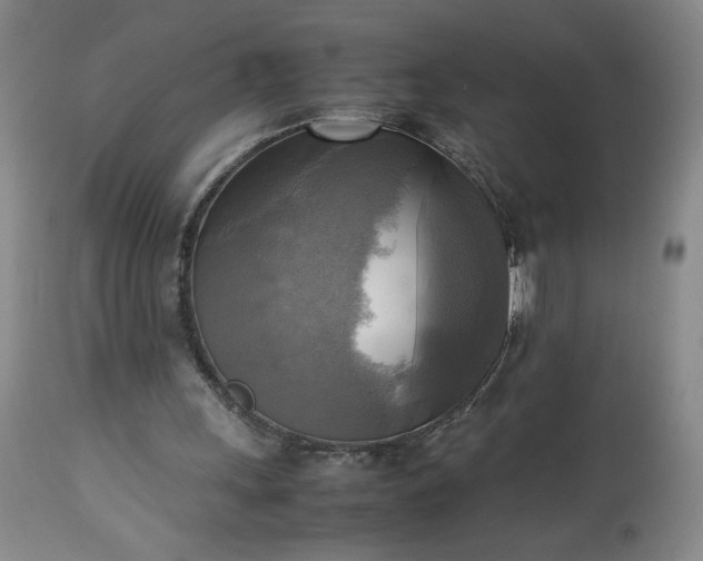 X0000113220243200909241454