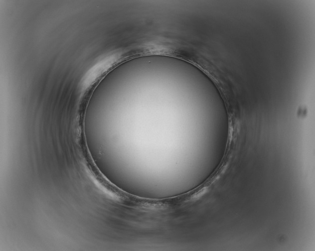 X0000113220245200909241454