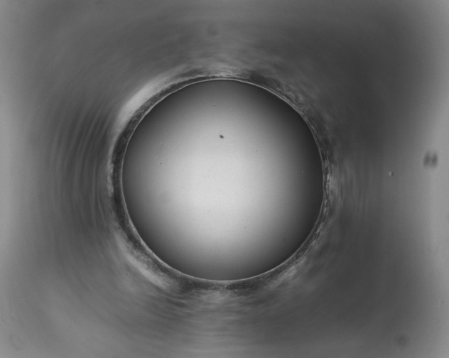 X0000113220246200909241454