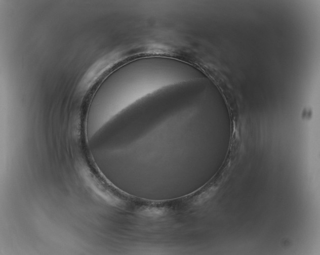 X0000113220247200909241454