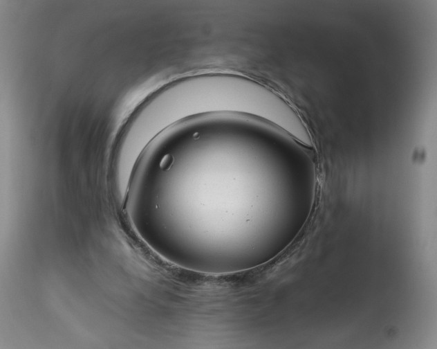 X0000113220248200909241454