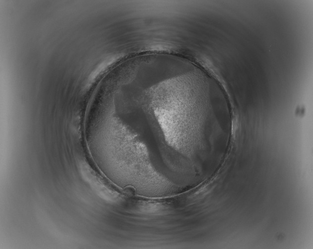 X0000113220249200909241454