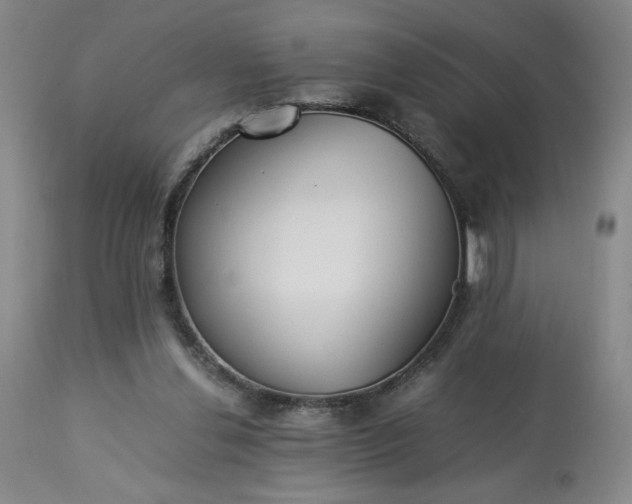 X0000113220252200909241455