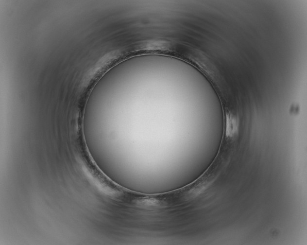 X0000113220253200909241455