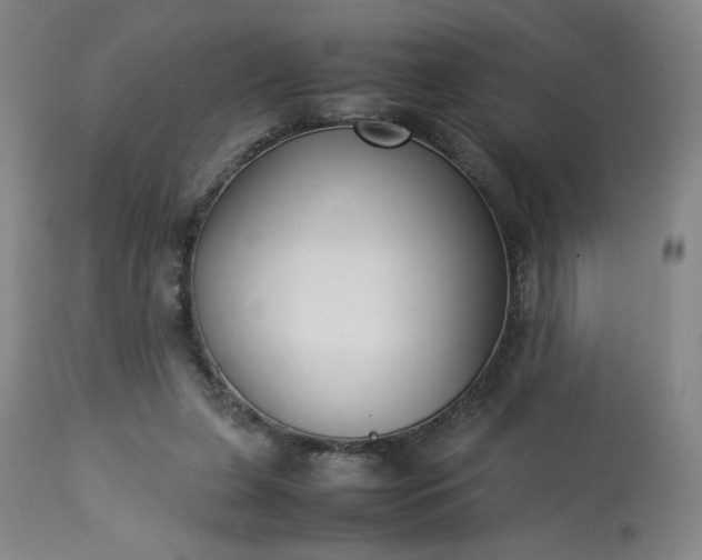 X0000113220255200909241455