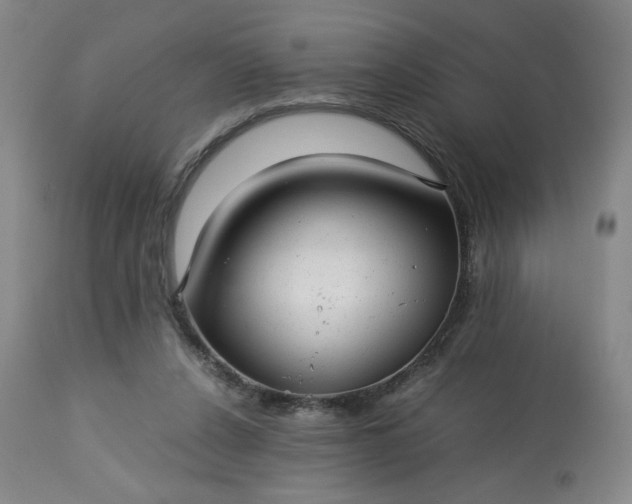 X0000113220256200909241455