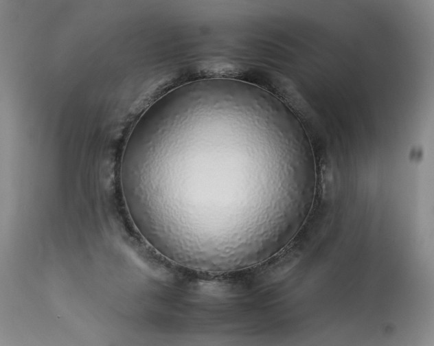 X0000113220259200909241455