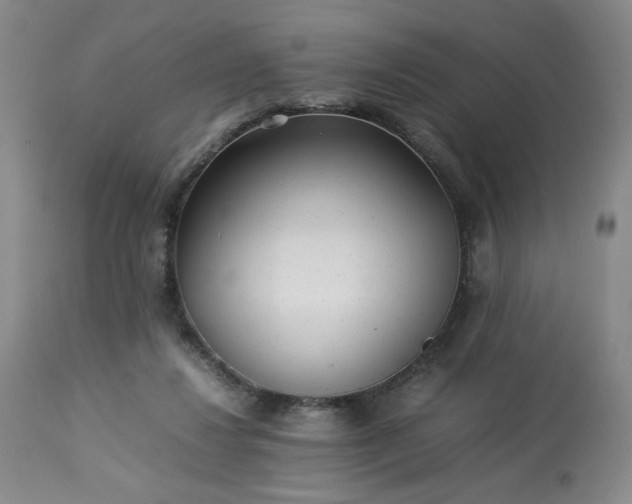 X0000113220260200909241455