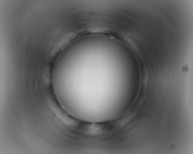 X0000113220261200909241455