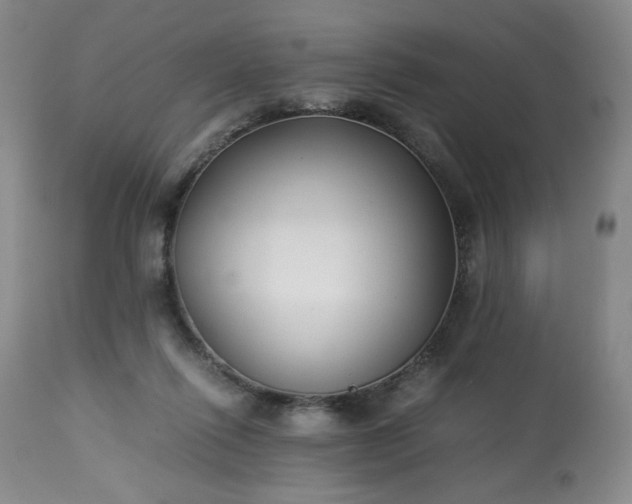 X0000113220262200909241455