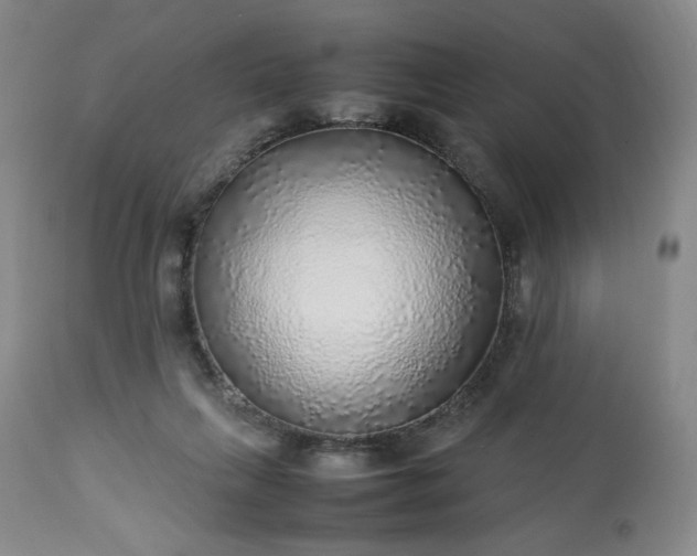 X0000113220263200909241455