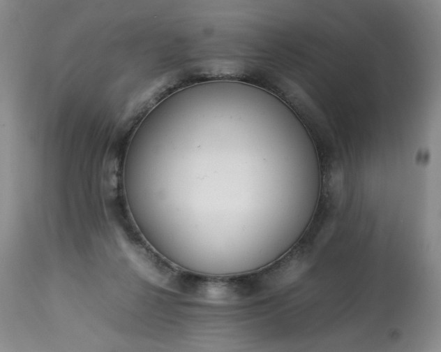 X0000113220264200909241455