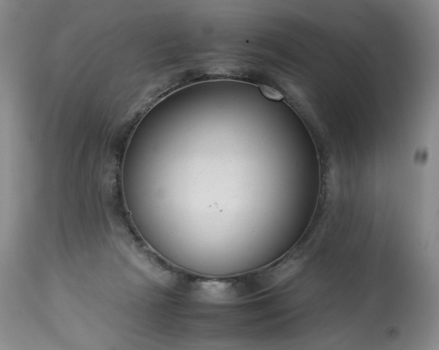 X0000113220265200909241455