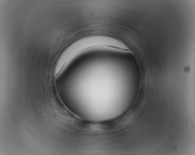 X0000113220268200909241455