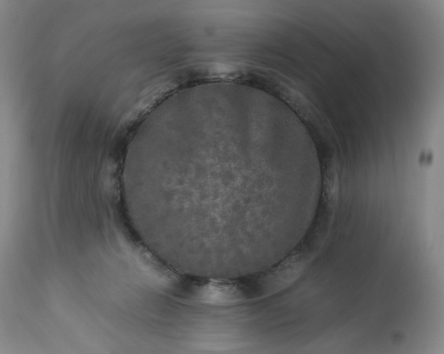 X0000113220270200909241455