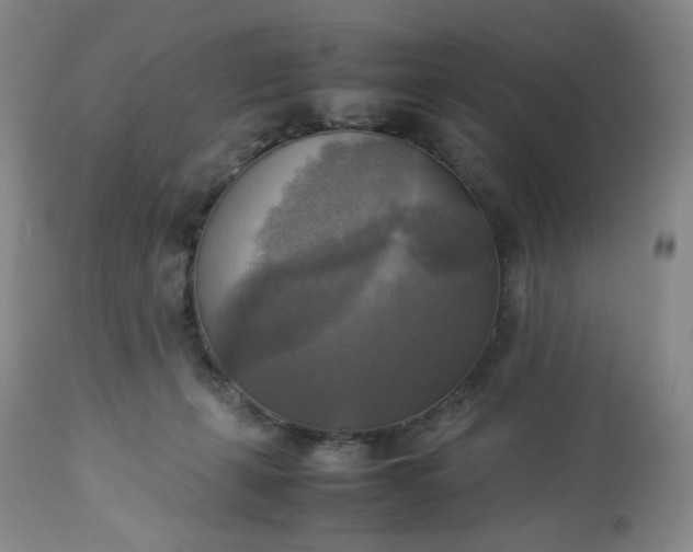 X0000113220271200909241455