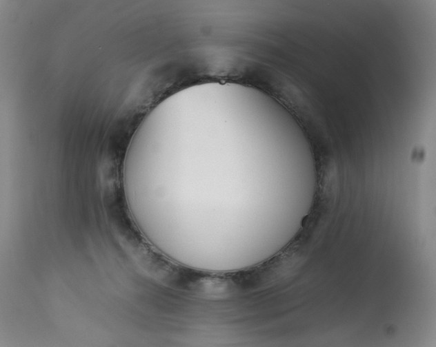 X0000113220272200909241455