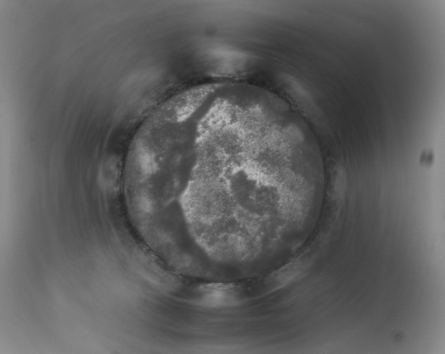 X0000113220273200909241455