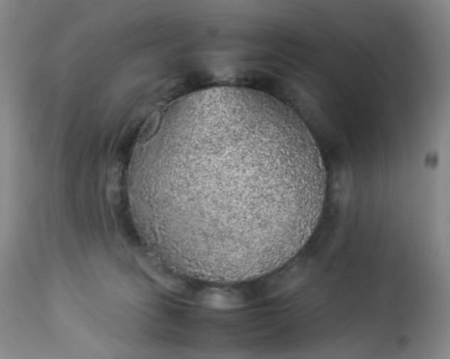 X0000113220275200909241455