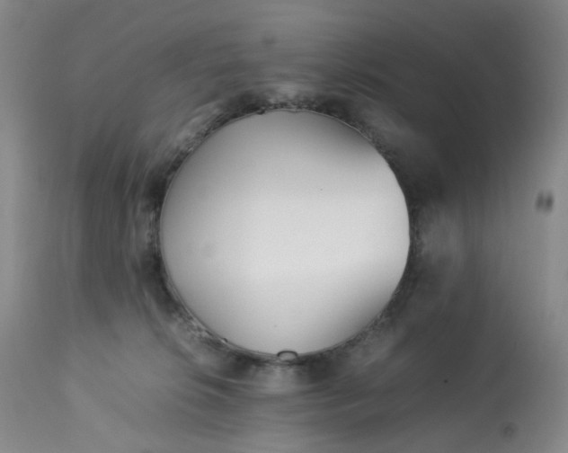 X0000113220276200909241455