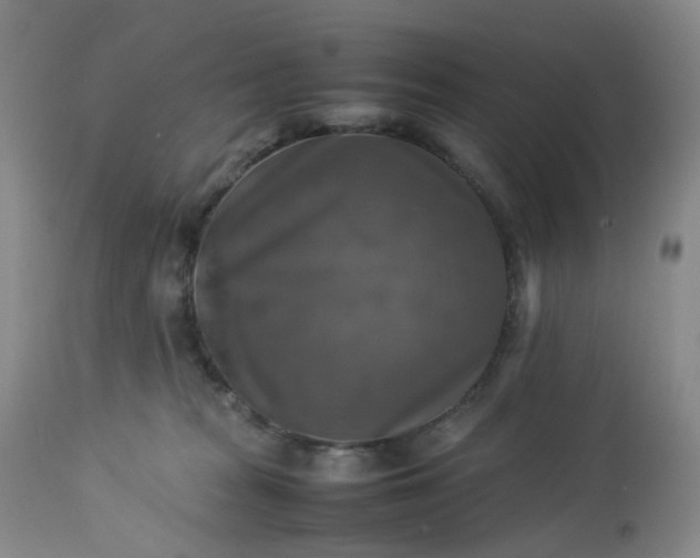 X0000113220277200909241455