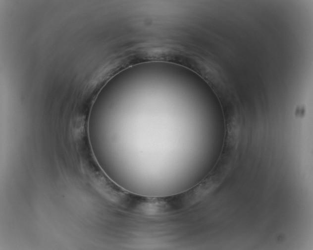 X0000113220278200909241455