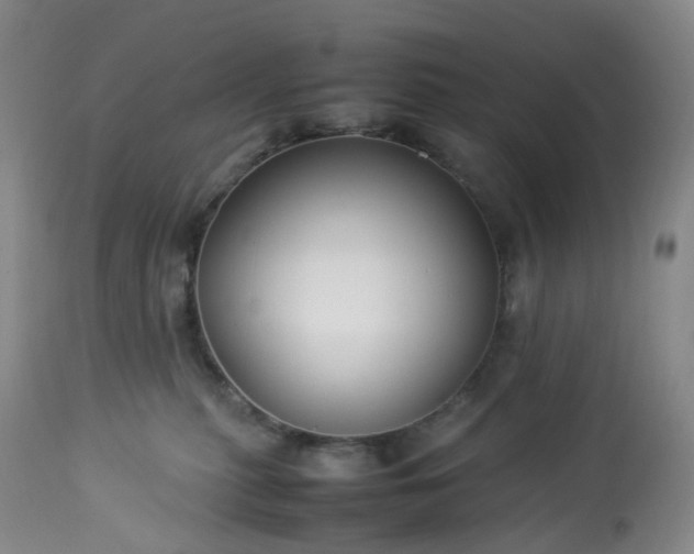 X0000113220279200909241455