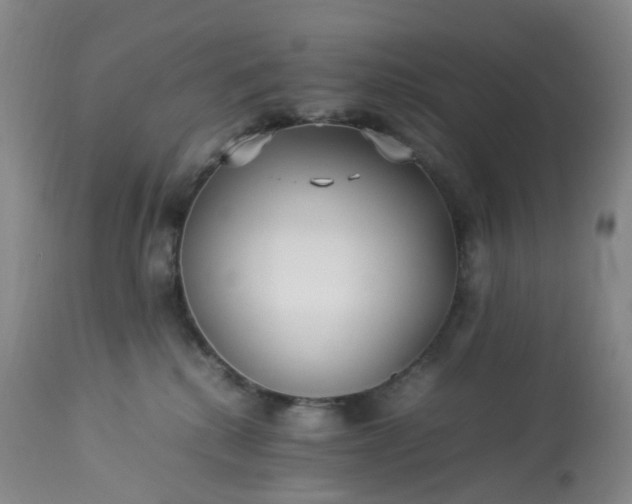 X0000113220280200909241455