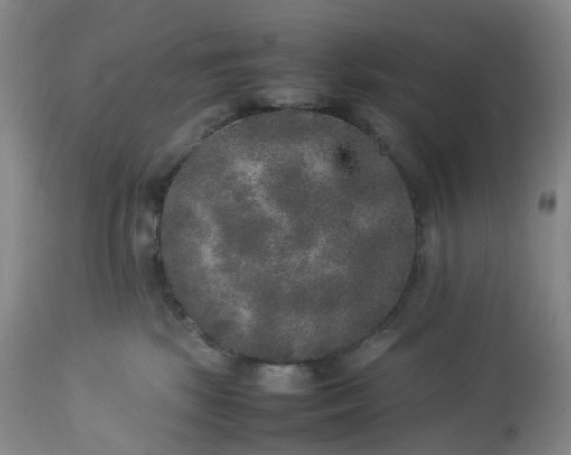 X0000113220281200909241455