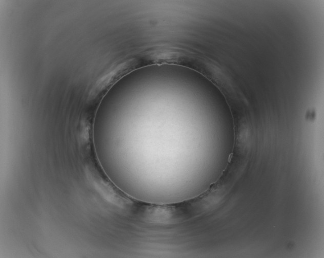 X0000113220282200909241455