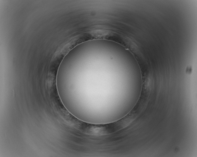 X0000113220283200909241455