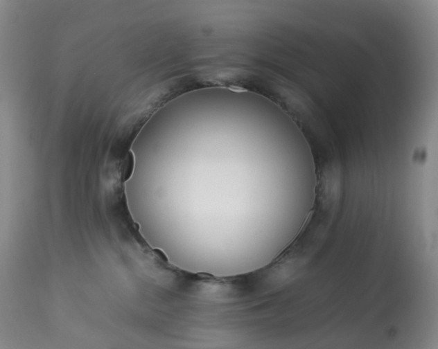 X0000113220284200909241455