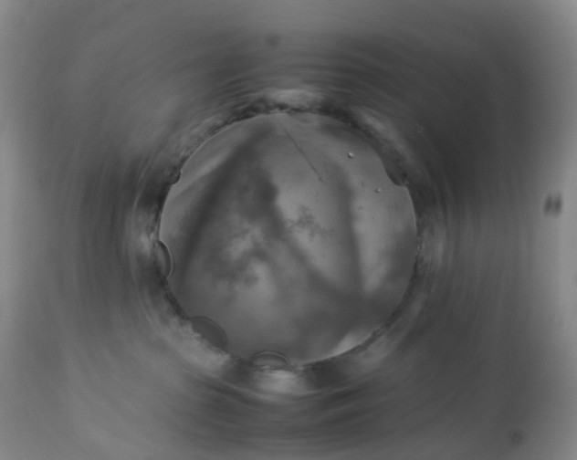 X0000113220285200909241455