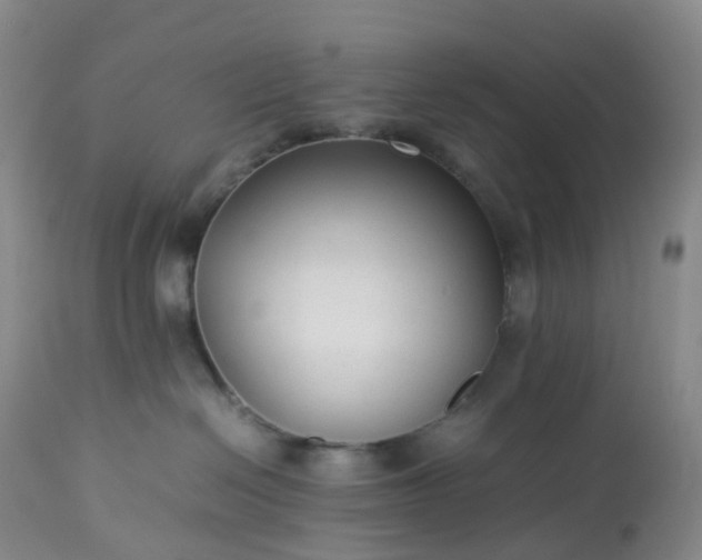 X0000113220286200909241455