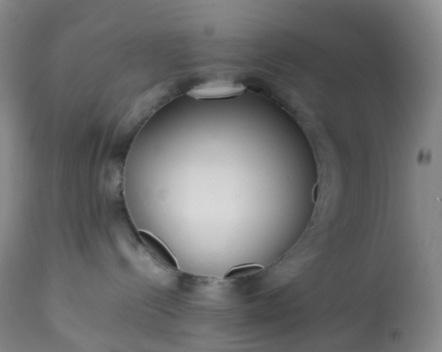 X0000113220288200909241455