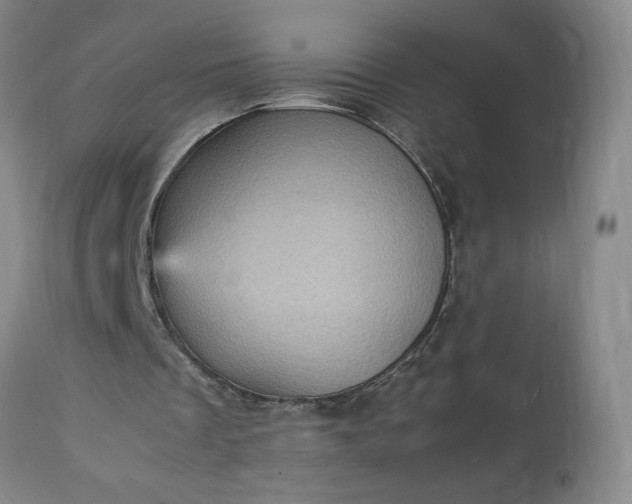 X0000113220289200909241454